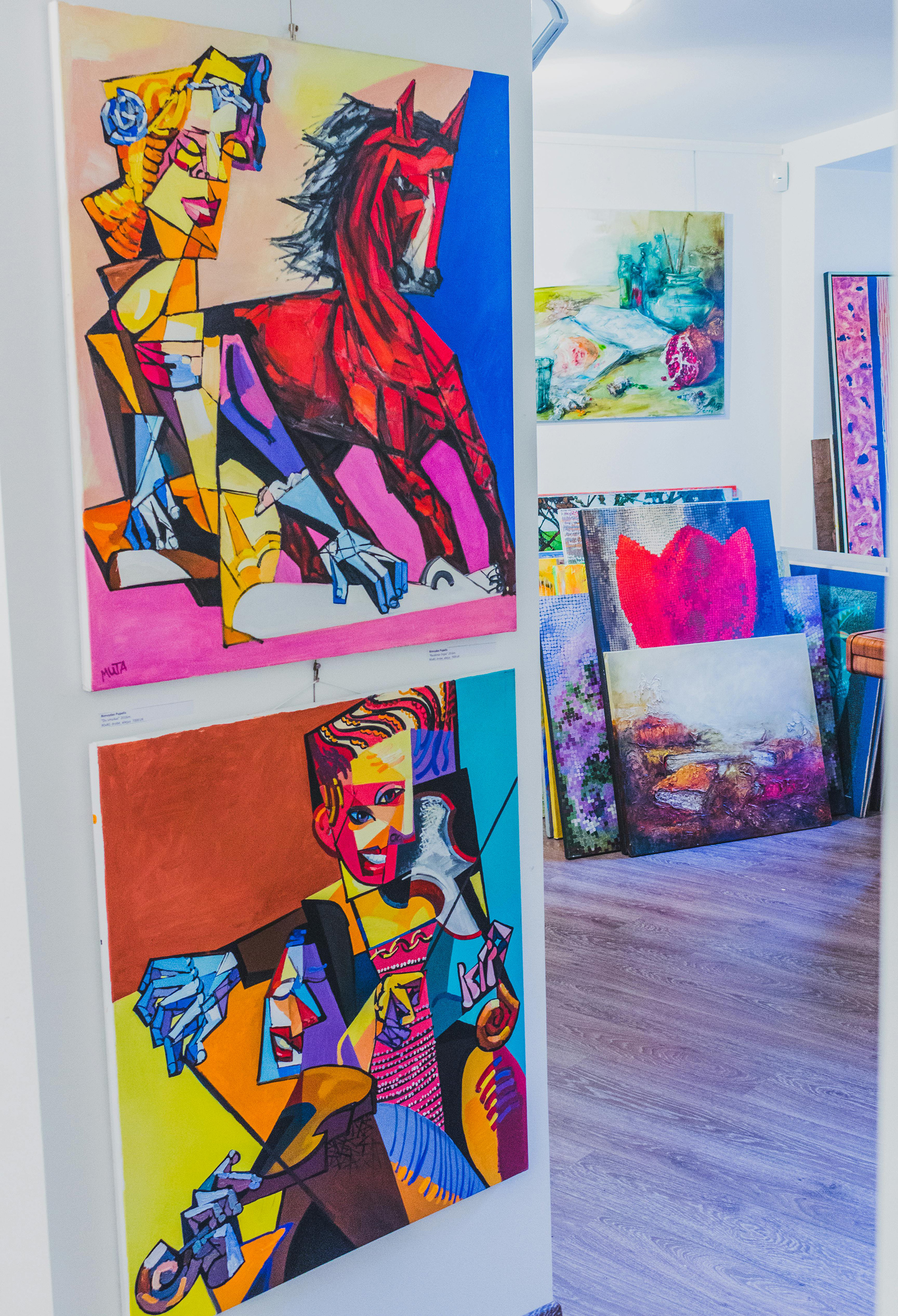 Vibrant Vistas Studio